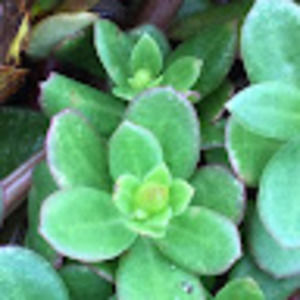 Meet your Posher, Claire